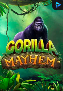 <p>Gorilla Mayhem</p>