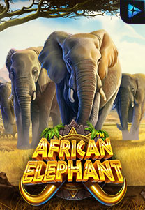 <p>African Elephant</p>